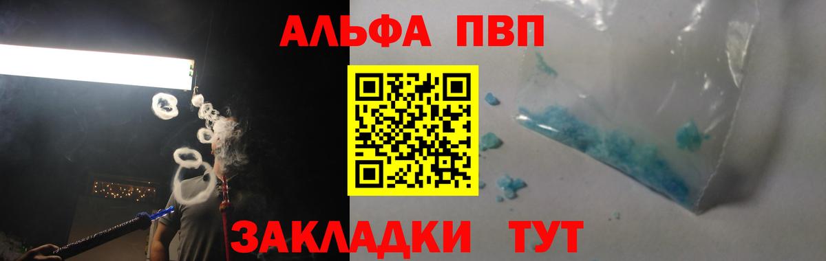 Alfa_PVP СК КРИС Балтийск