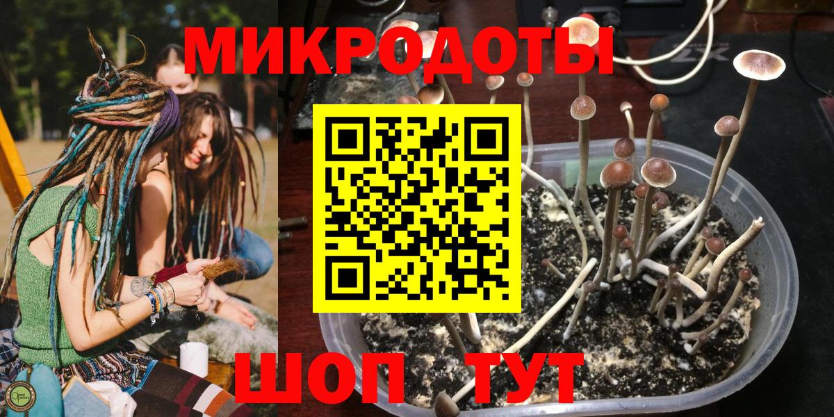 Балтийск  Псилоцибиновые грибы GOLDEN TEACHER  Псилоцибиновые грибы прущие грибы  Вход с VPN 