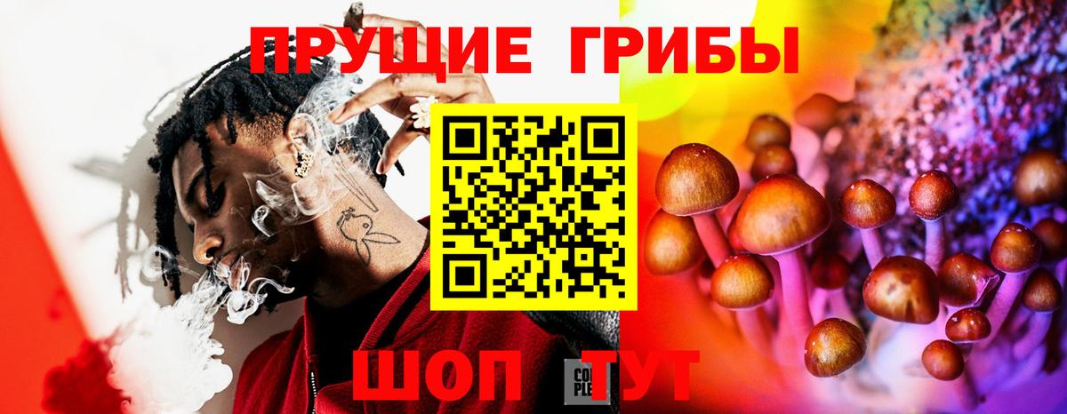 Галлюциногенные грибы MAGIC MUSHROOMS Балтийск