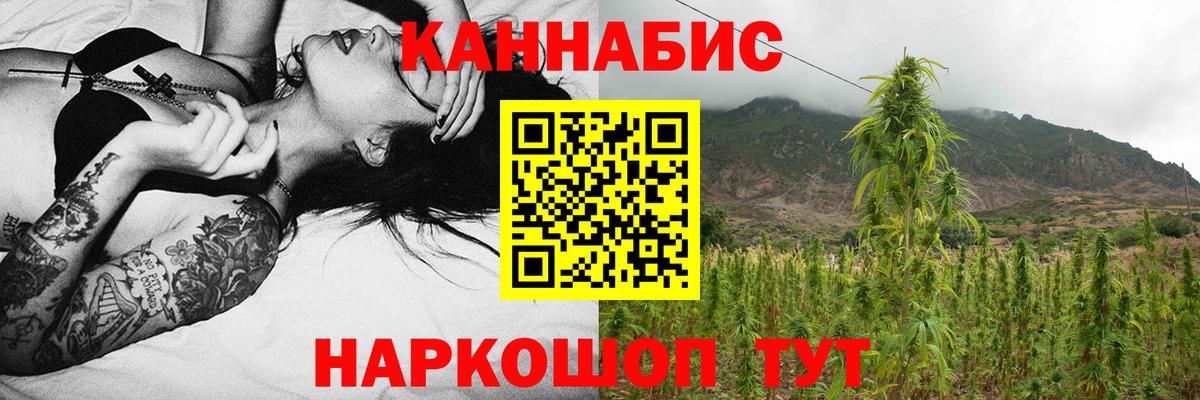 Бошки Шишки индика Балтийск